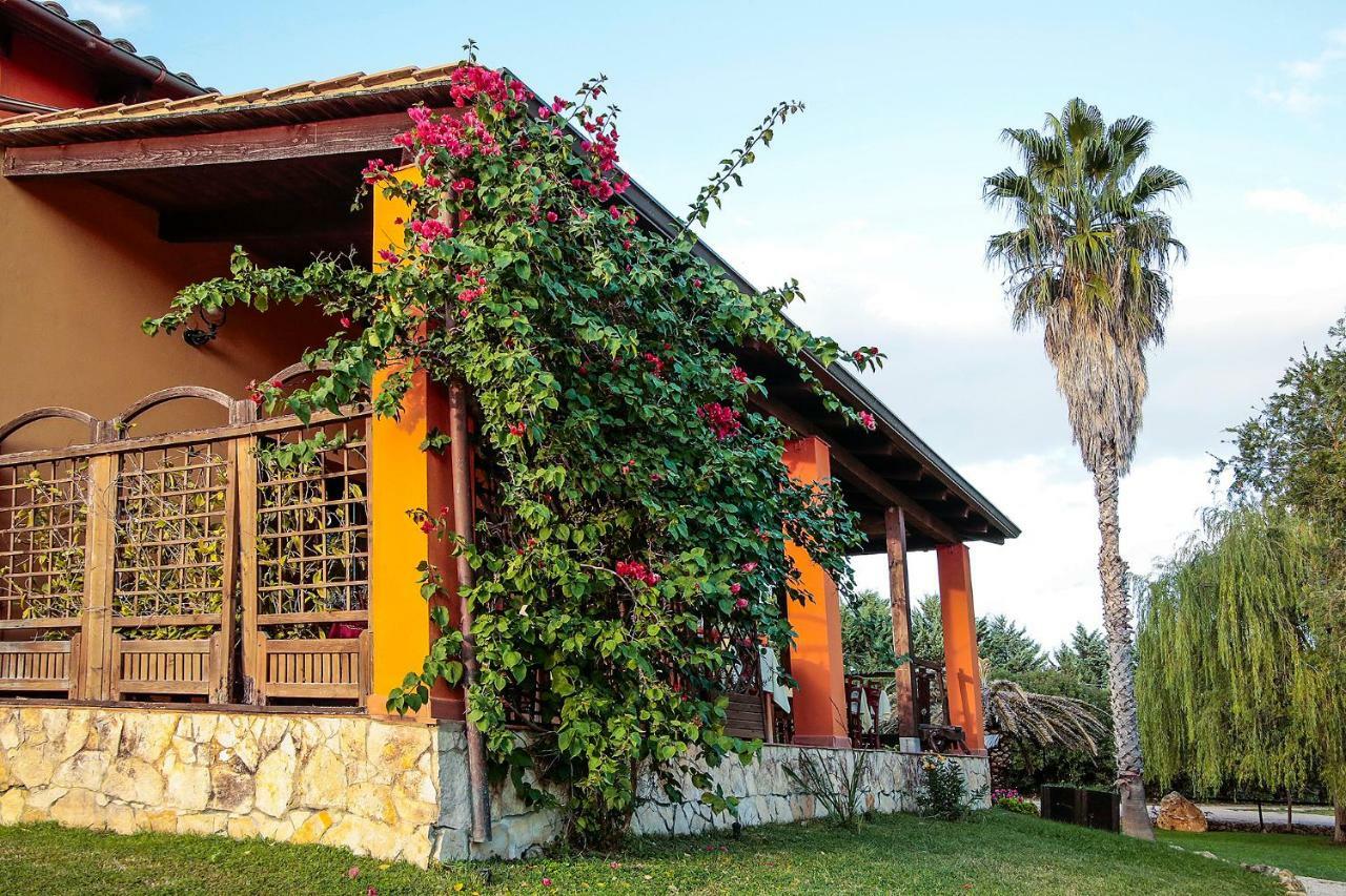 I Vigneti Alojamento de Turismo Rural Olmedo